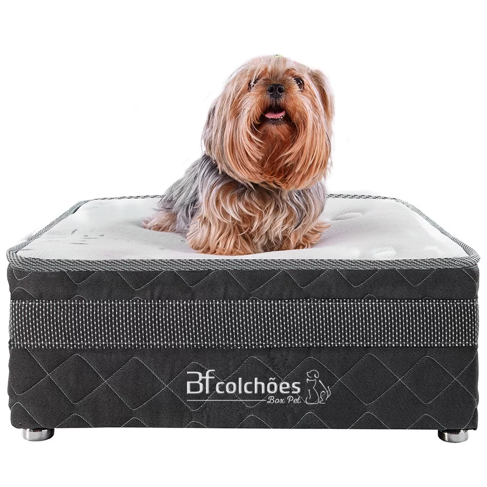 Cama Box Pet Para Cachorros E Gatos com Lençol Impermeável – Caminha Pet – BF Colchões