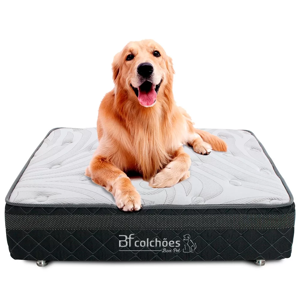 Cama Box Caminha Pet Para Cachorros e Gatos + Lençol Impermeável 100x100cm – Bf Colchões