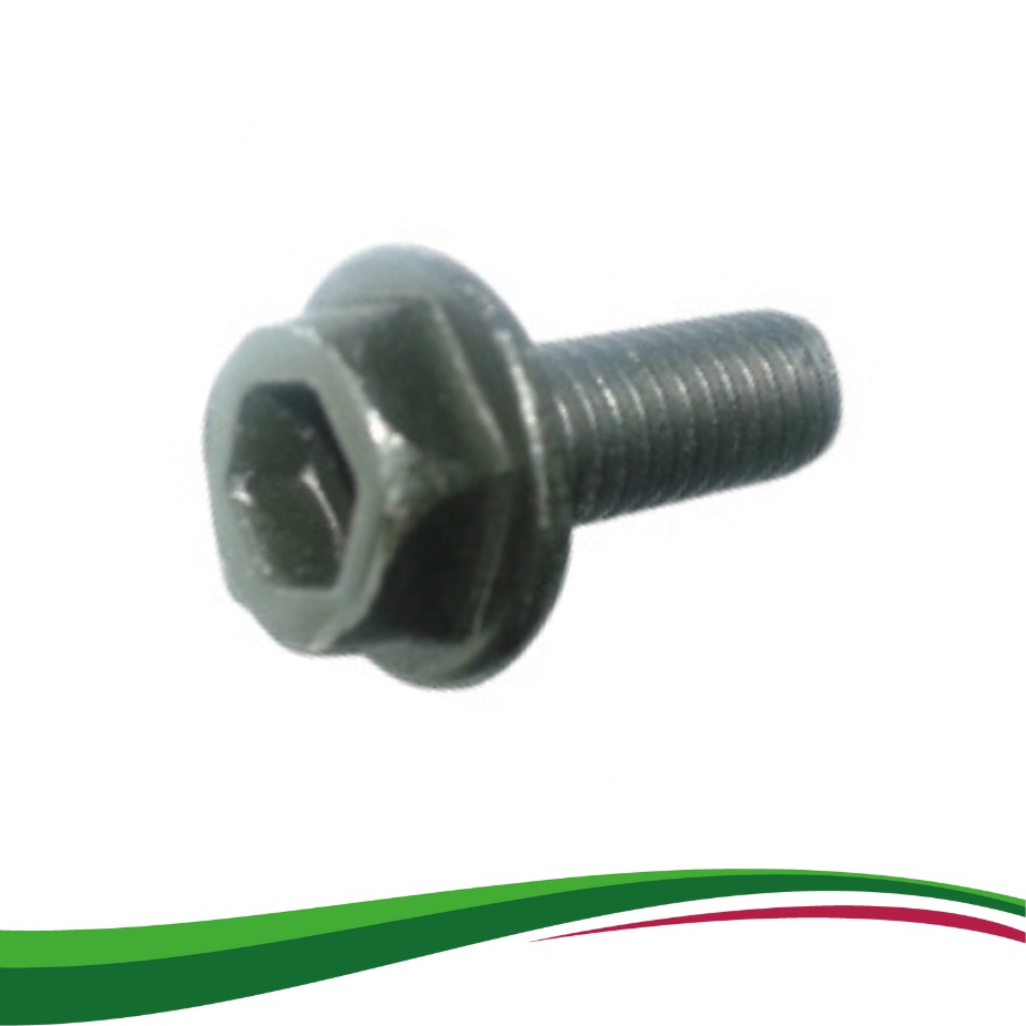 Parafuso Prende Disco Allen Sextavado 6MM P/ Serra Marmore 4100nh – UND