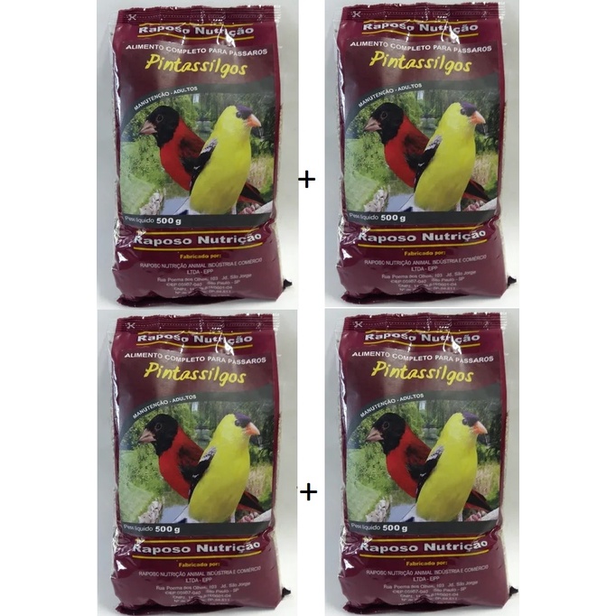 KIT 4  Mistura Pintassilgo Especial – 500g R