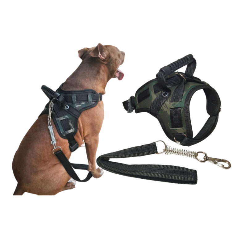 Coleira pet resistente para cachorro pitbull labra
