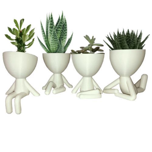 Robert Plant Kit 4 Mini Vasinhos 6cm Cactos Sucule