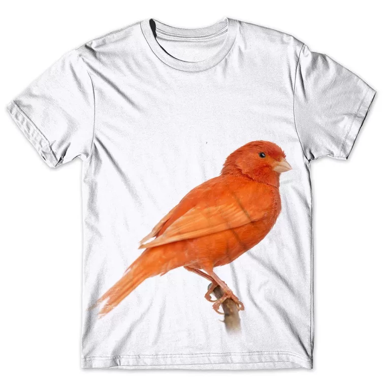 Camisa Camiseta Masculina Ave Pássaro Canário 4