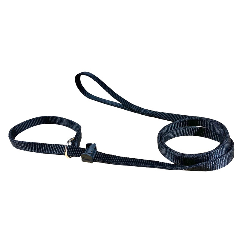 Guia Coleira Unificada para Adestramento de Cães Reforçada Resistente Educativa 4 Tamanhos Promoção