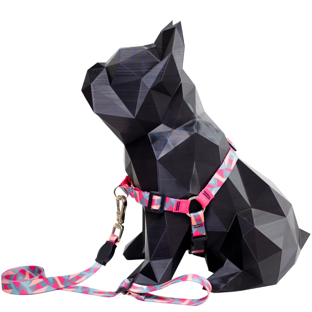 Coleira Antipuxão Educativa Guia Adestramento Para Cães