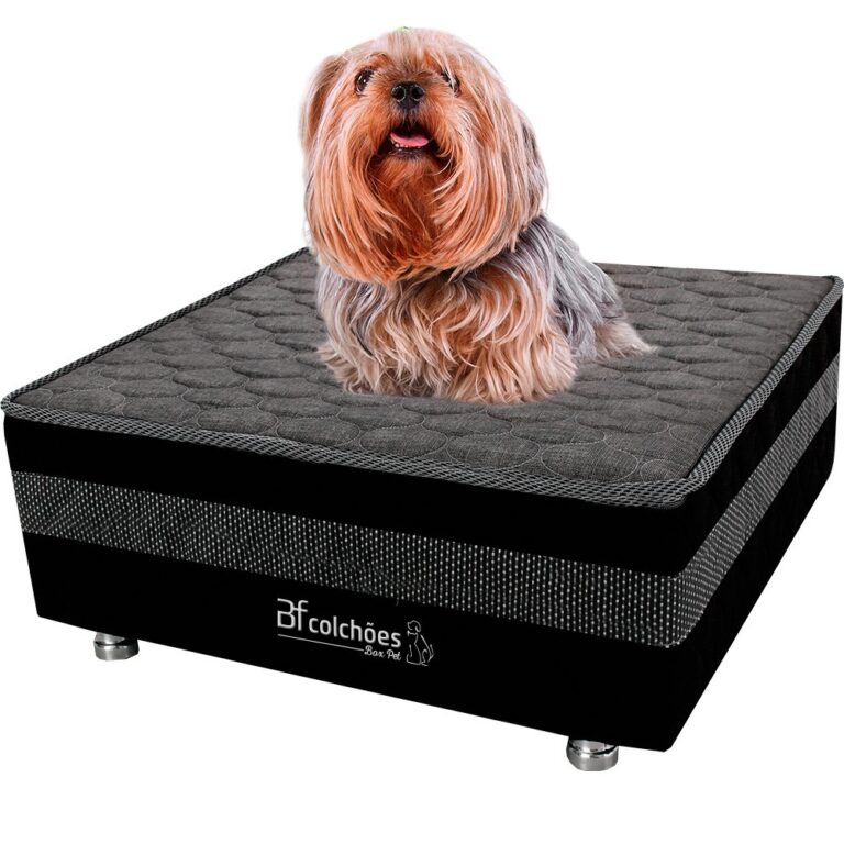 Cama Box Pet Com Lençol Impermeável Branco Para 
