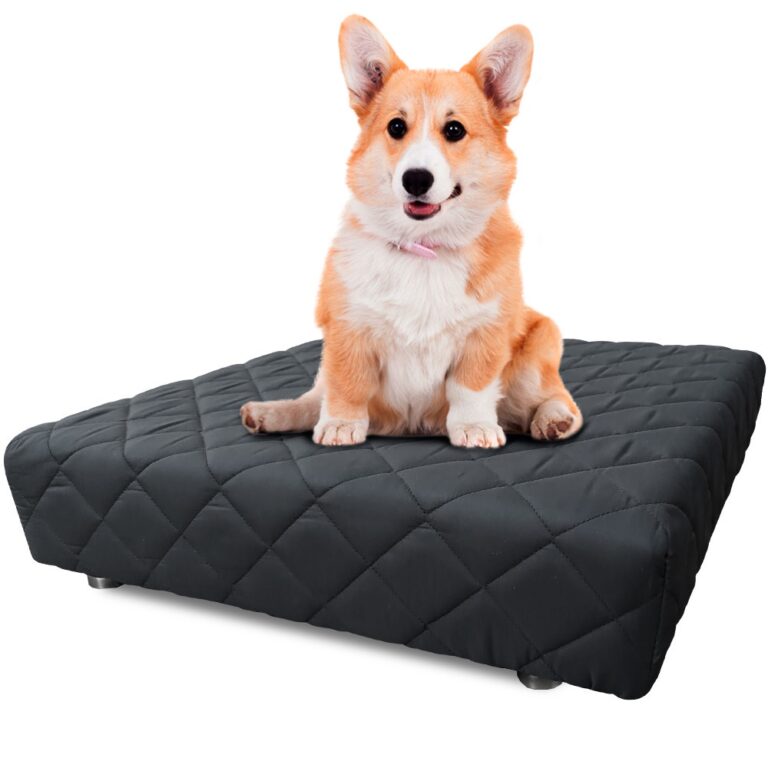 Cama Box Pet 50x50x14cm Com Lençol Impermeável B
