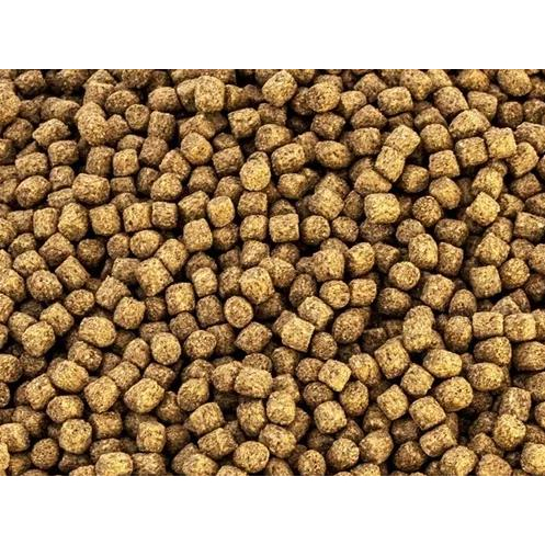 Ração P/ Carpas Ornamentais Coloridas 4mm 10kg