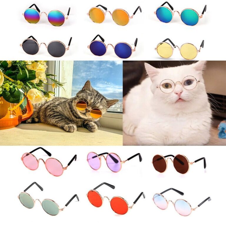 Óculos Pet Cachorro Gato Diversas Cores