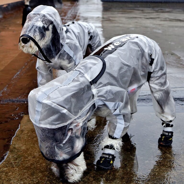 capa de chuva cachorro Capa De Chuva Para Cães De