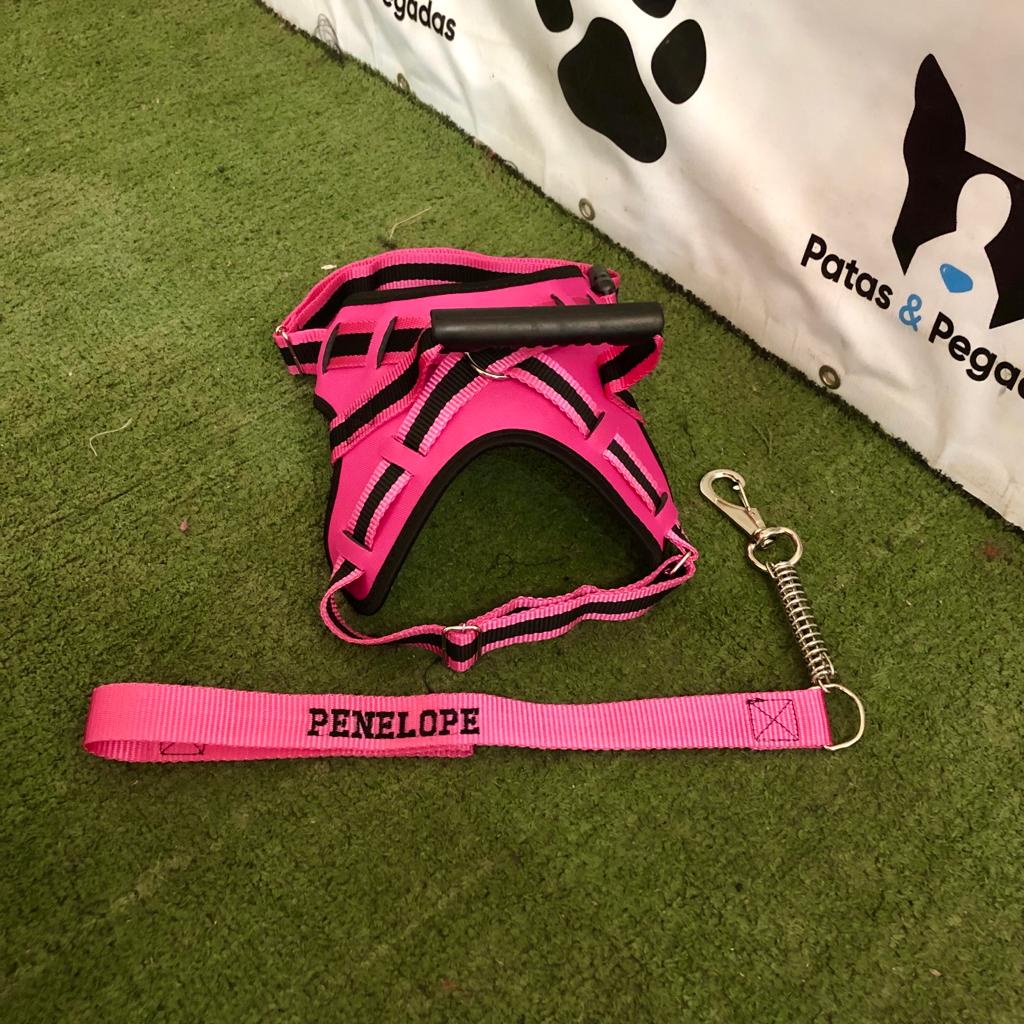 coleira e Guia para cachorro nome personalizado coleira peitoral conforto peiteira sistema amorteced