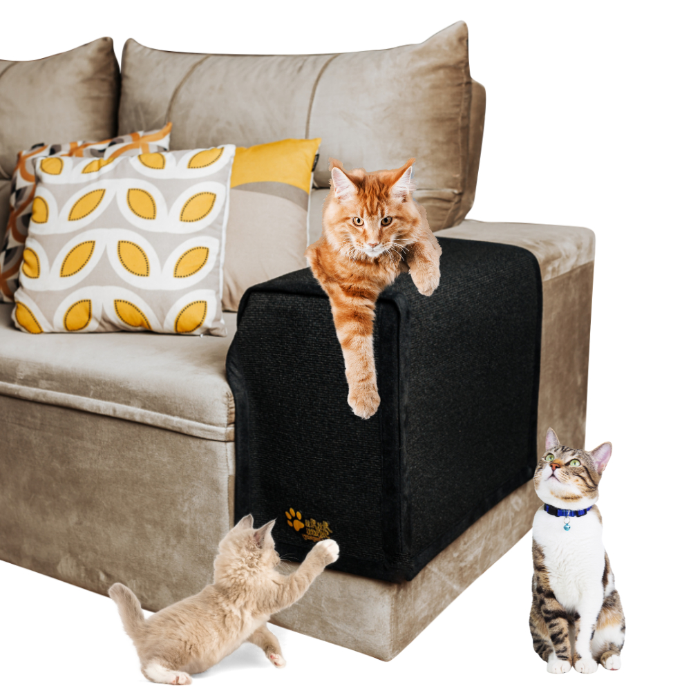 Capa de sofa arranhador e protetor