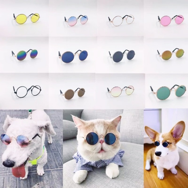 Óculos Decorativos Para Animais De Estimação Tendência Essencial Com Invencível Bonito De Gato Frio
