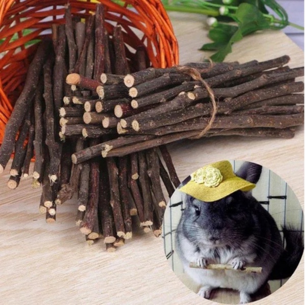 Galhos de Amora Natural para Aves e Roedores como 