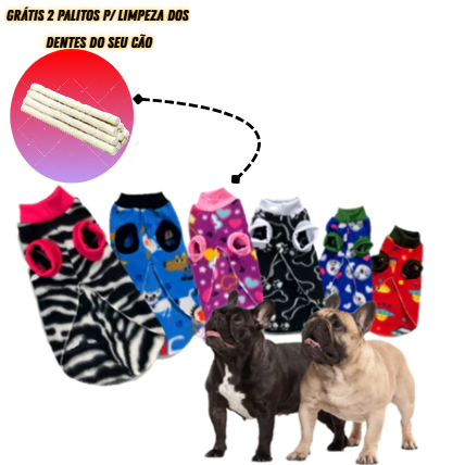 Roupas para Shih Tzu à venda: quentes, roupas de 