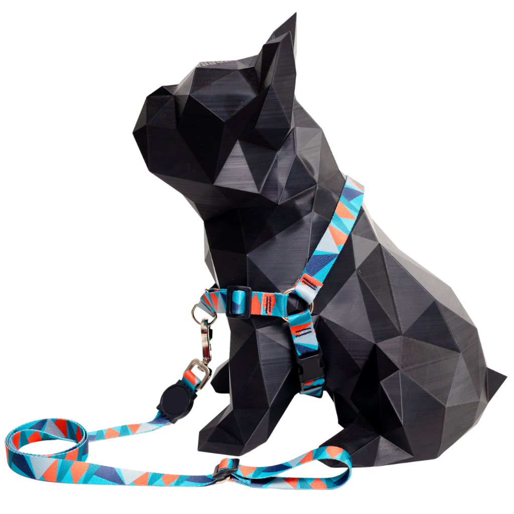 Coleira Para Cachorro Anti-puxão e Guia 2 Metros Resistente