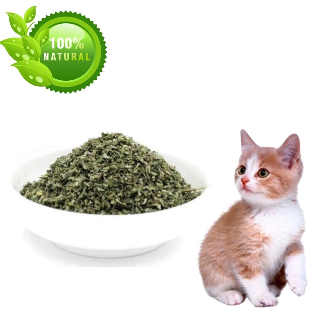 Catnip Erva Do Gato 100% Natural Deixa o Gato Feliz.