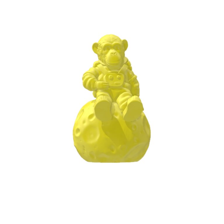 Macaco Astronauta 3D
