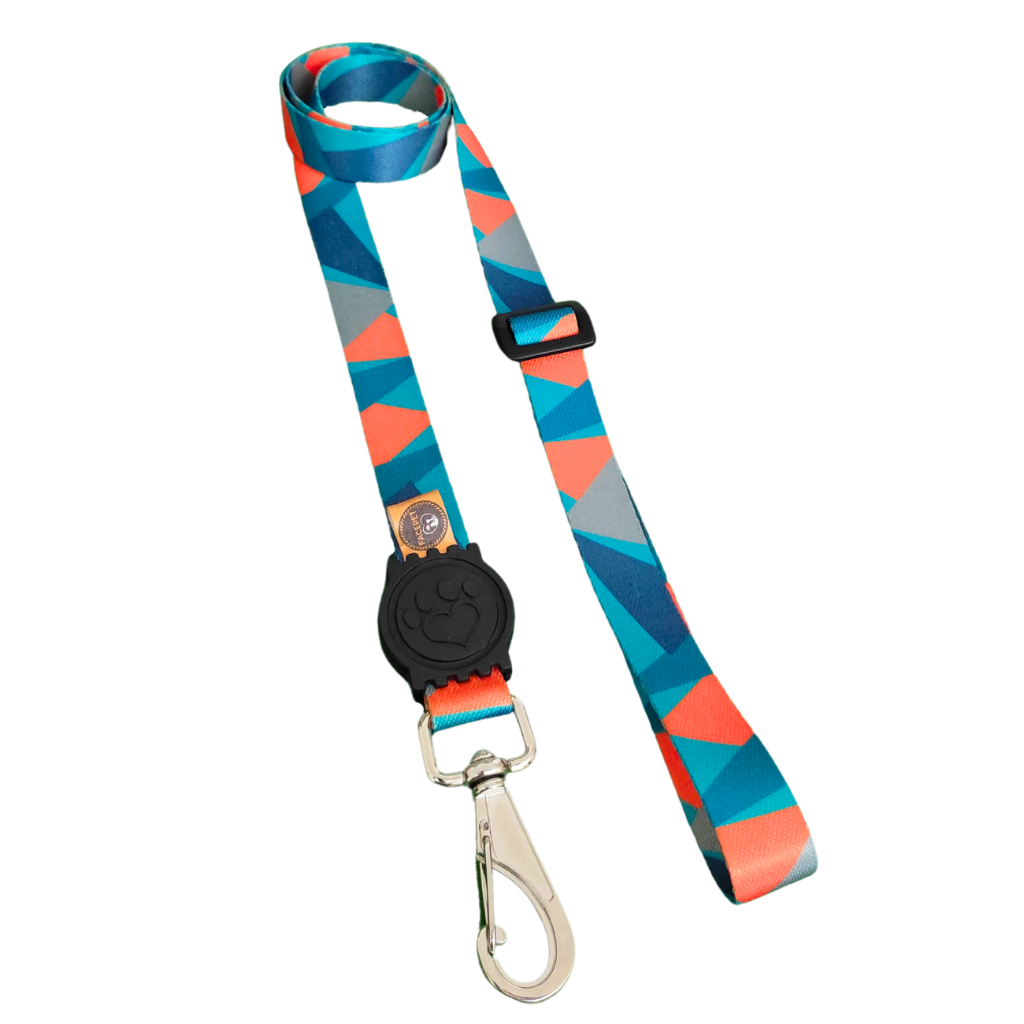 Guia Passeio Longa com 2 Metros para Cães