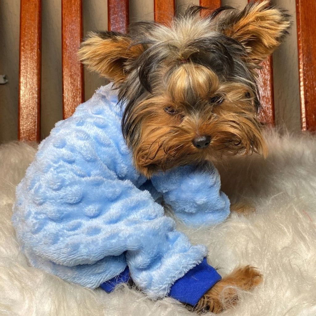 Macacão Pipoquinha Cachorro Inverno Pet