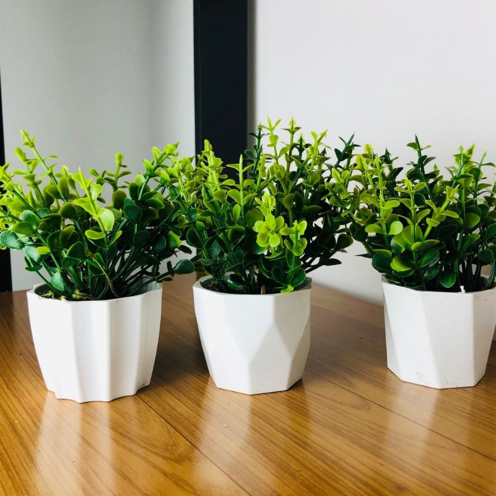 Kit 3 vasinhos de plástico com folhagem de eucalipto artificial para decoração