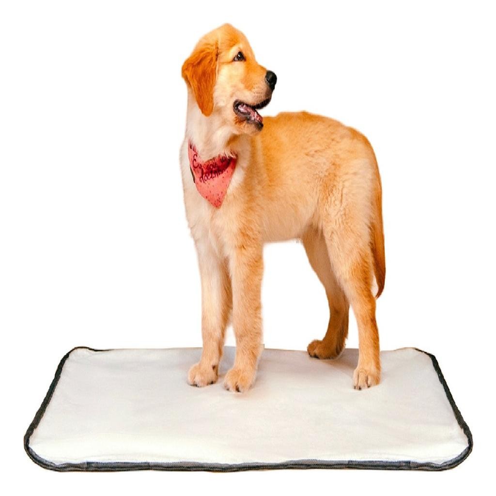 Kit 3 Tapetes Higiênico Lavável – Tamanho M 60×80 cm