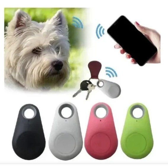 Mini Rastreador Gps Pet Criança Chave Cão Gato M