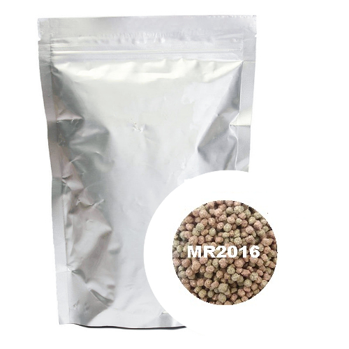 Ração Alimento para peixes RGB10 1KG Flutuante R