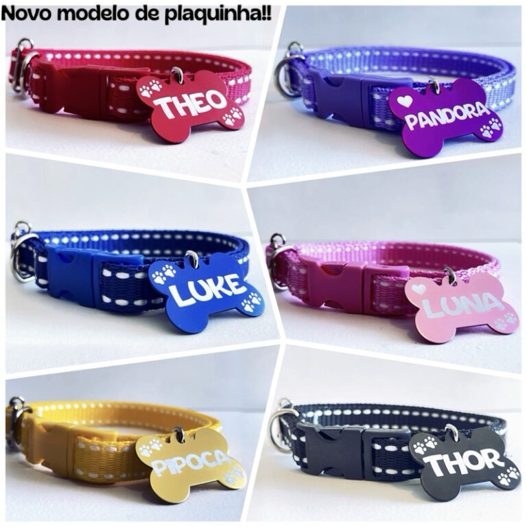 Coleira para cachorro com plaquinha de identifica