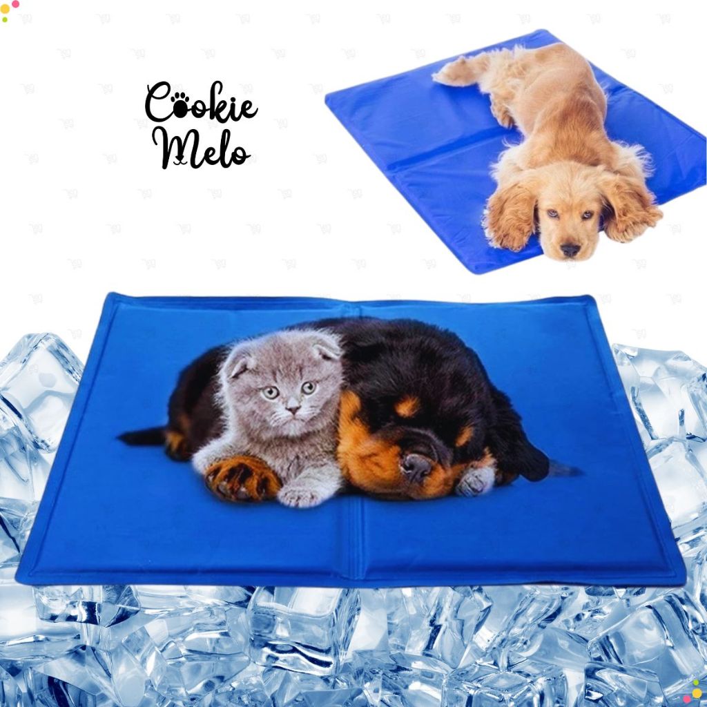 Tapete Gelado 40×50 para Pets Refrescante Calor Cachorro e Gato Colchonete Azul Conforto Verão