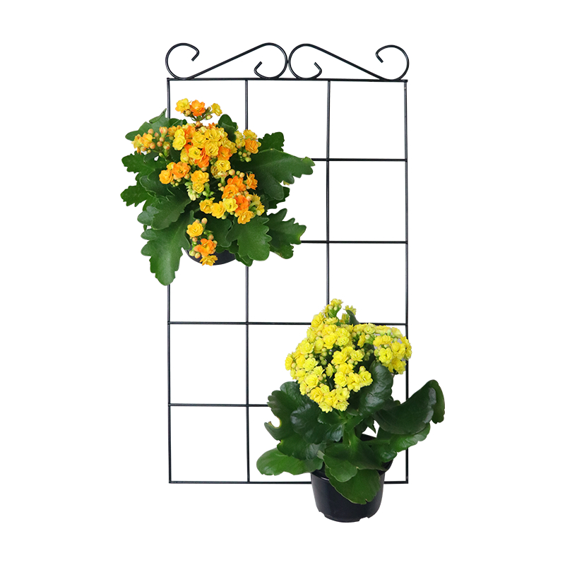 Painel Treliça Jardim Vertical Para Pendurar Vasos De Planta Decoração Casa Horta Flor Orquídea