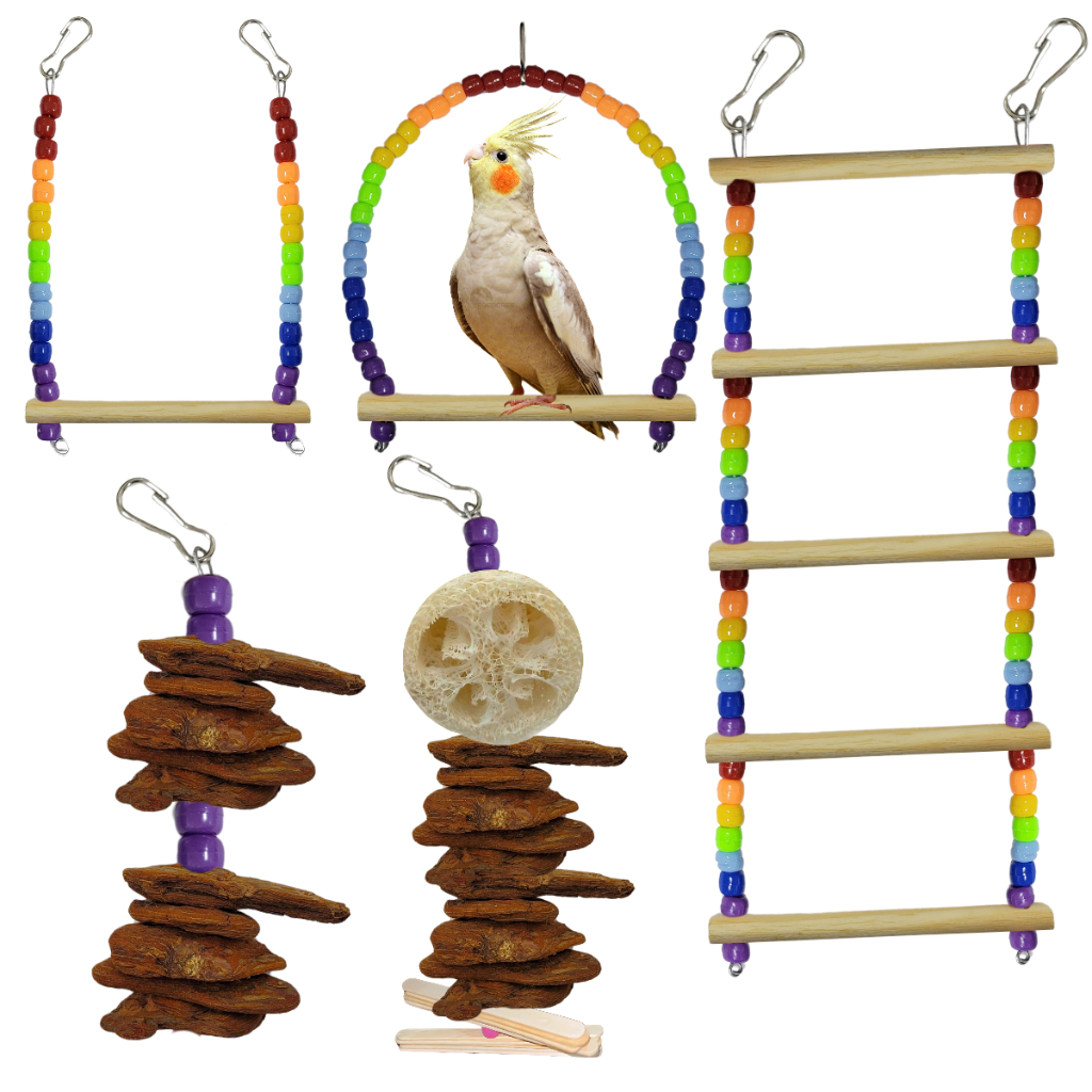 Kit Brinquedos Arco-Íris, para Calopsita, Periquito, Agapornis / Brinquedo para Pássaros, aves