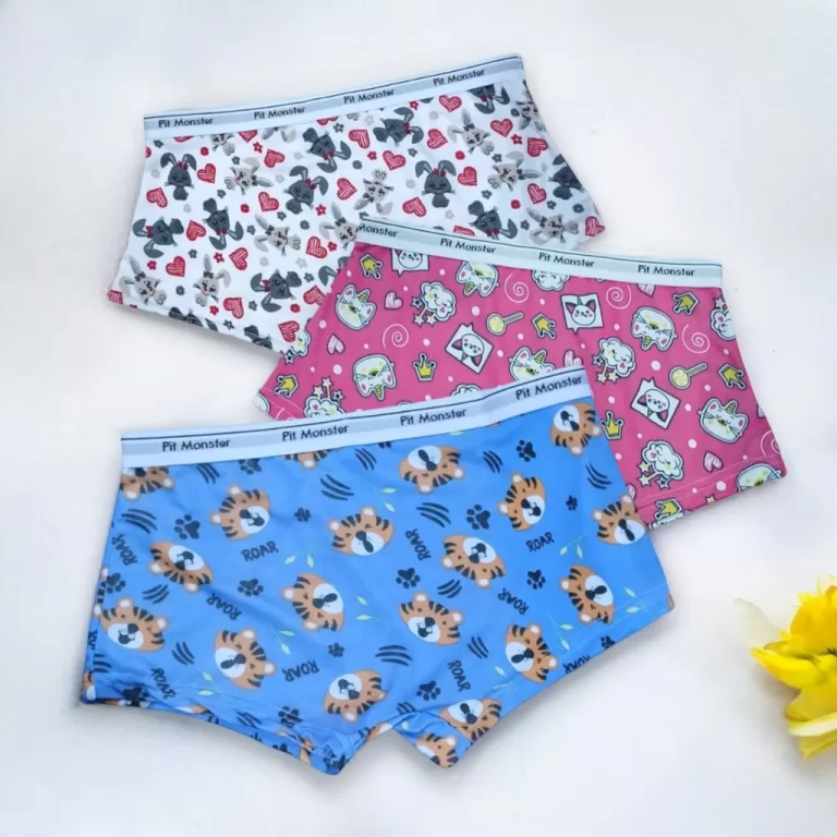 Kit 3 Calcinha Boxer Estampada AdultoComElástico 
