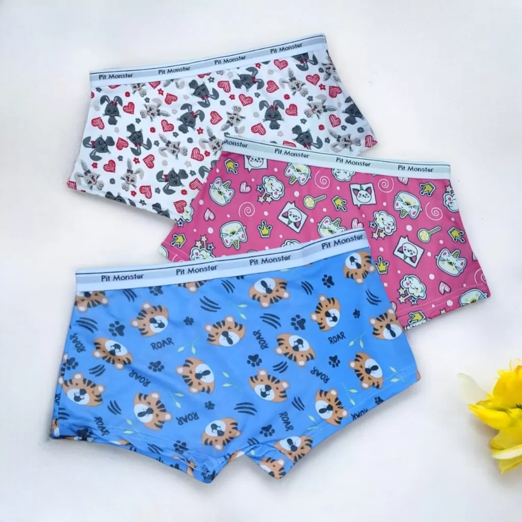 Kit 3 Calcinha Boxer Estampada AdultoComElástico Moda Íntima Barata Confortável Fresca Tecido Leve