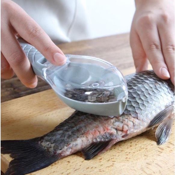 Descamador de Peixe Tira Escamas com Lâmina e Col