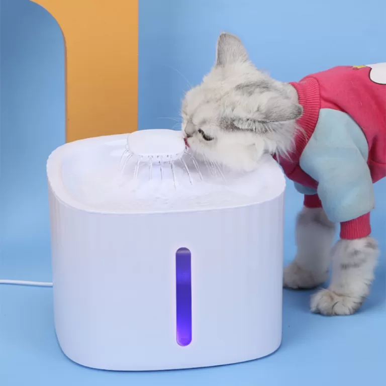 Bebedouro Fonte de Água Elevado Automático Com F