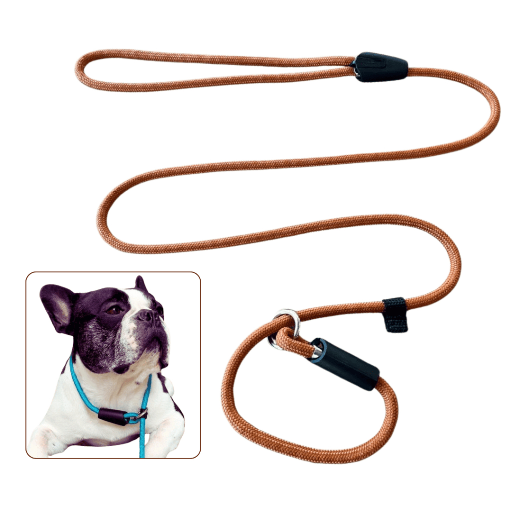 Coleira de Adestramento Guia Unificada Enforcador para Cachorros Pequenos Médios e Grandes