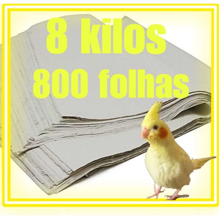 papel biodegradável descartável para forrar fund