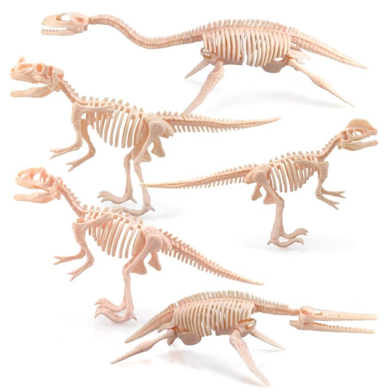 Modelo De Montagem De Esqueleto Duplo De Dinossaur