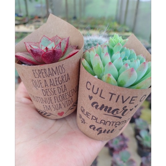 100 rótulos e 100 tags para lembrancinha de sucul