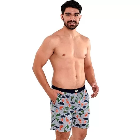 Shorts Samba Canção Dinossauros com Bolsos Later