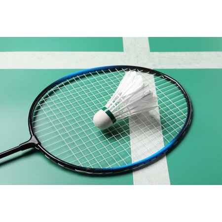 Kit Badminton Profissional Raquetes Bolsa Petecas 