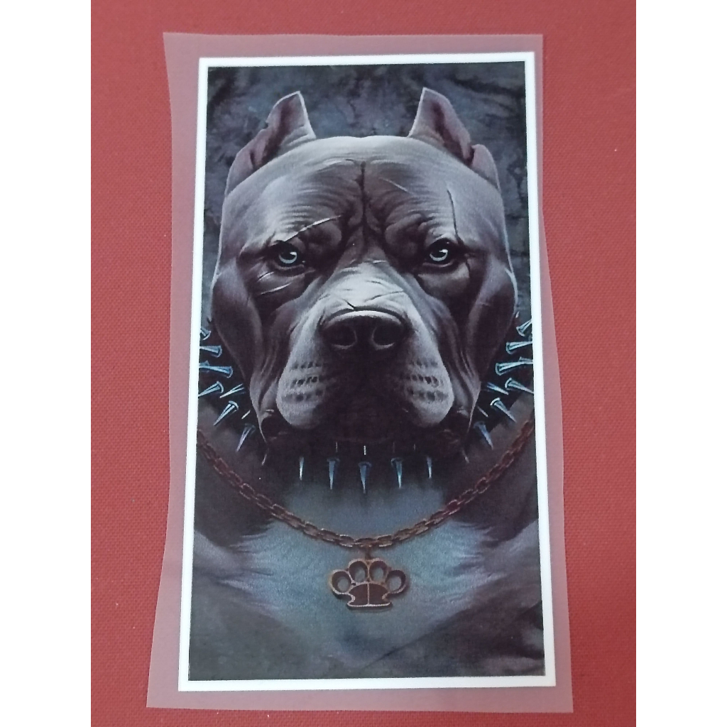 Estampa DTF digital alta resolução Pitbull brabo camiseta jaqueta blusa facil aplicação com ferro de