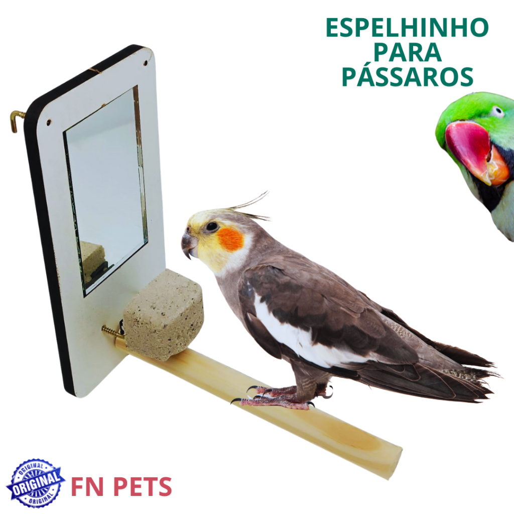 espelho gaiola calopsita com Poleiro e pedra de cálcio acessorio para passaros e brinquedo passaro