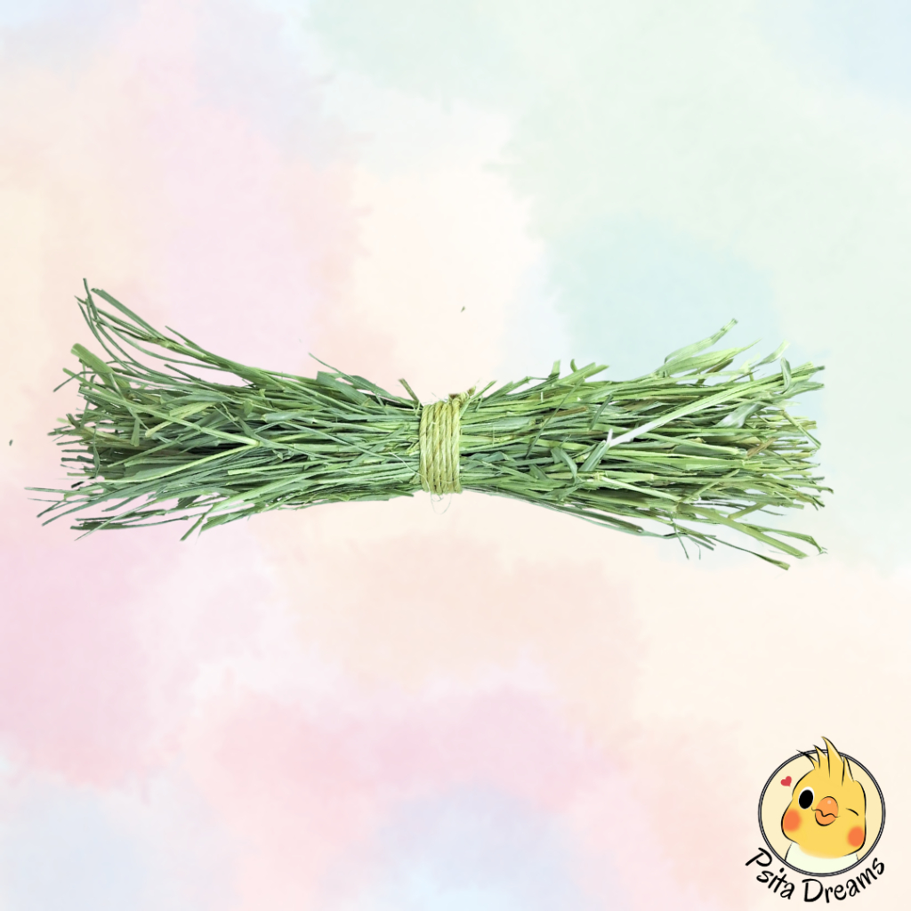 Brinquedo de Feno Calopsita, Agapornis, Hamster, Coelho, Porquinho da Índia, Roedores, Aves