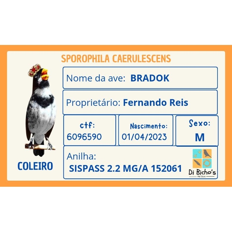 Placa de Identificação para Gaiolas de Aves Silvestres Coleiro, Trinca-Ferro Preenchimento Manual