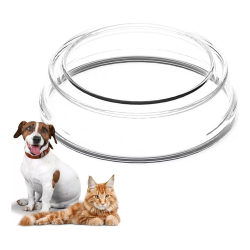 Comedouro Pet Bebedouro Cachorro Gato Antiformiga 