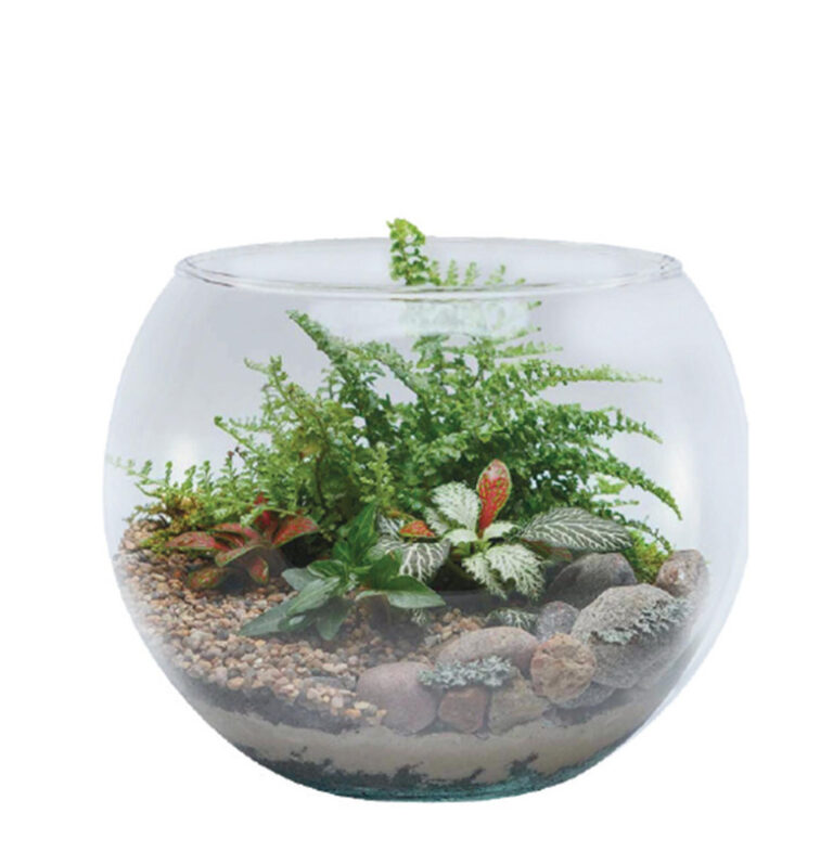 AQUARIO – Ø24 X 18 CM 4,5 L – CAIXA C