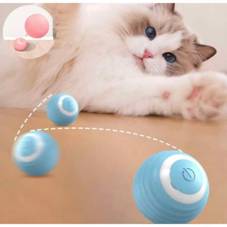 Gato Brinquedo Bola Elétrica Automática com Rota