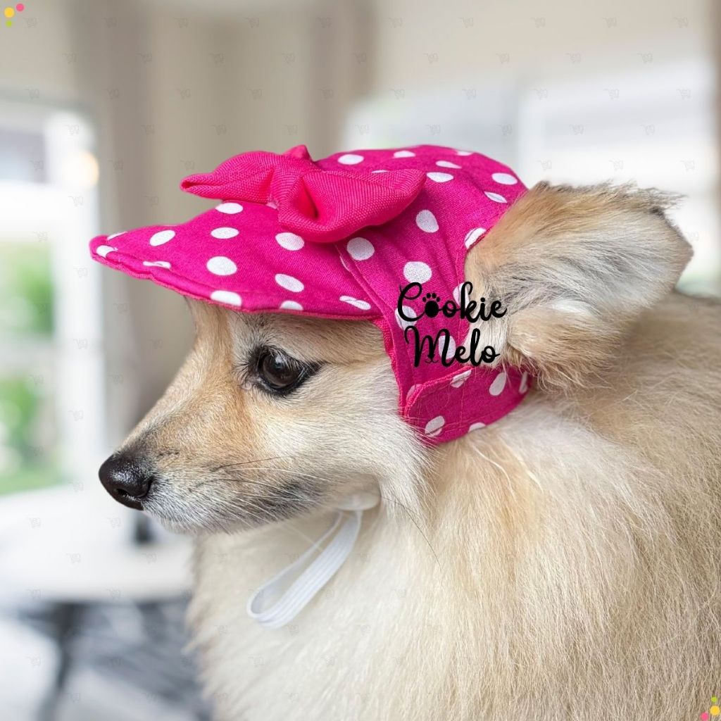 Chapeu Bone Para Pet Cachorro Gato Fêmea Macho Ajustável de Tecido Gato em Tecido P M G Protege do S